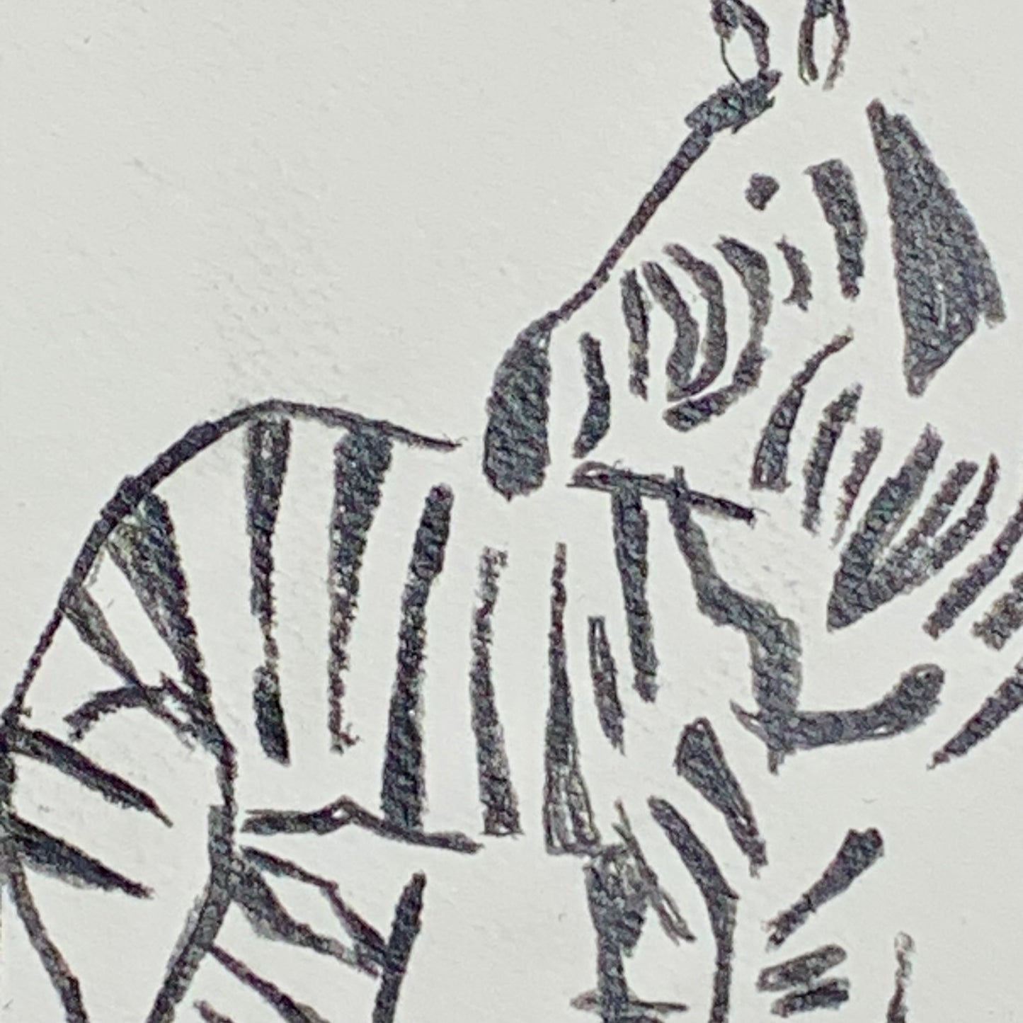 
                  
                    ZEBRA LOOKING BACK
                  
                