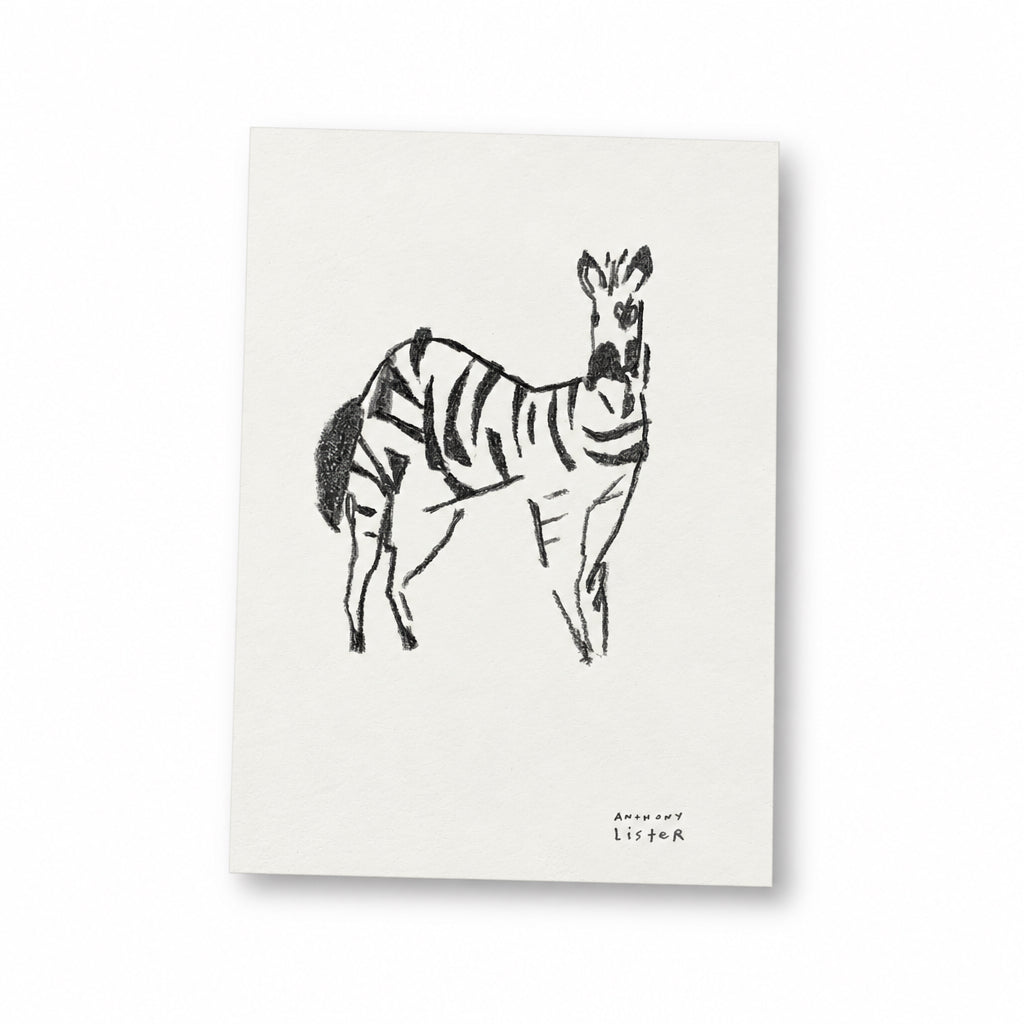 
                  
                    ZEBRA BEFORE FLIGHT
                  
                