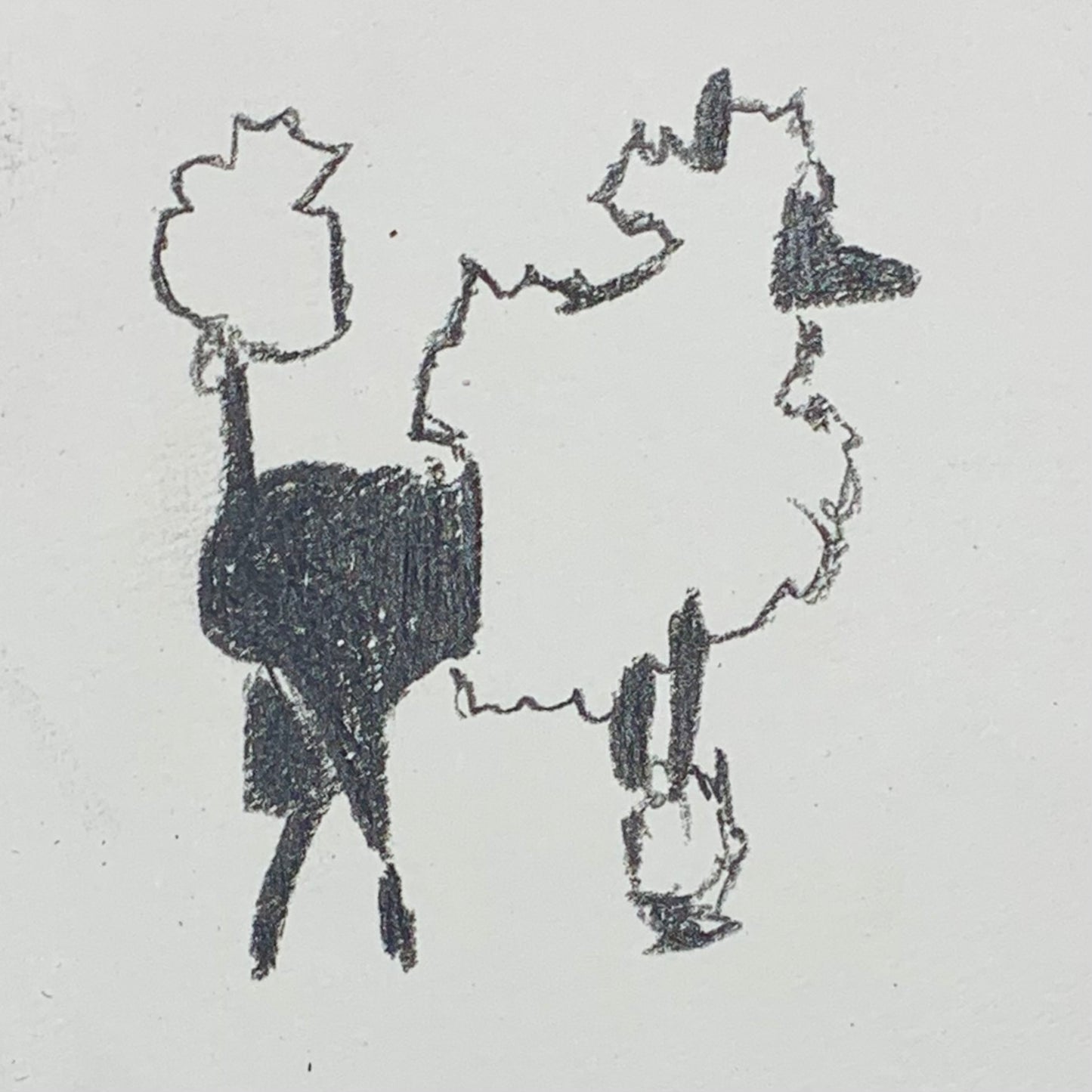 
                  
                    ZEBRA LOOKING POODLE
                  
                