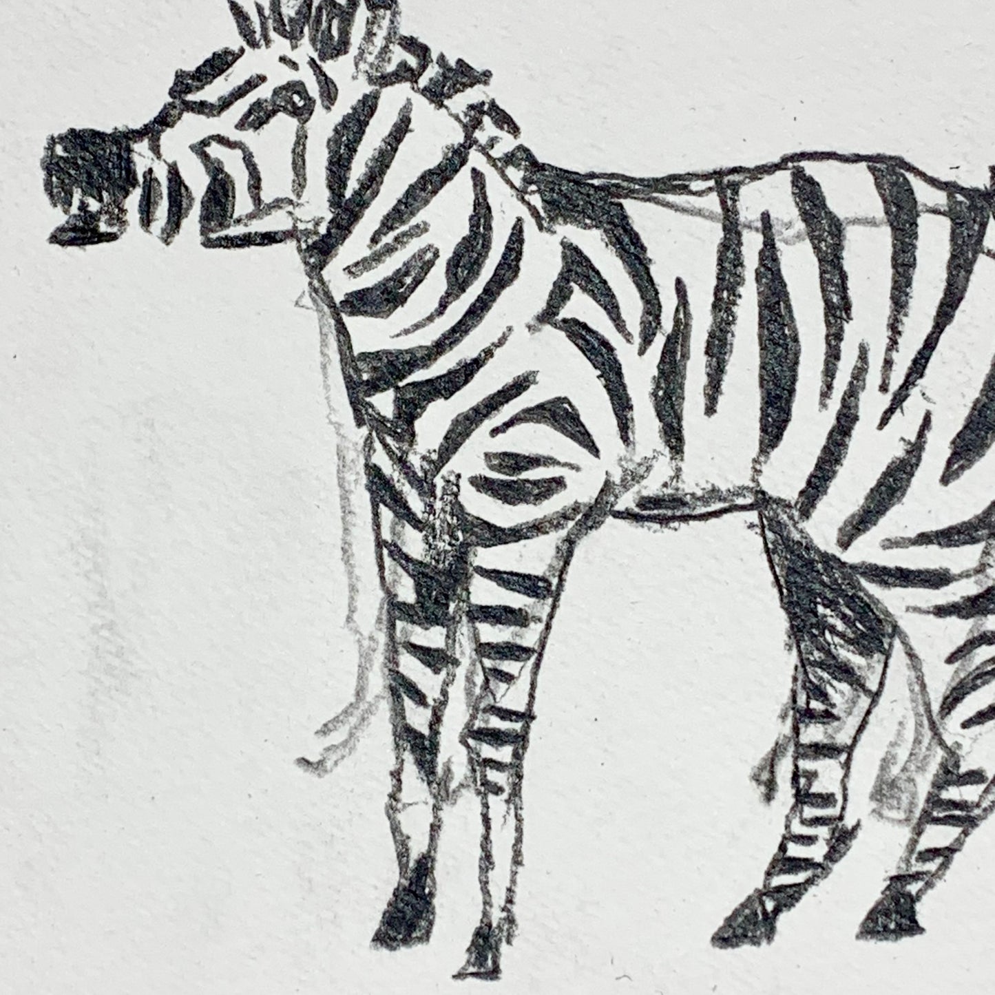 
                  
                    ZEBRA CALLING OUT
                  
                