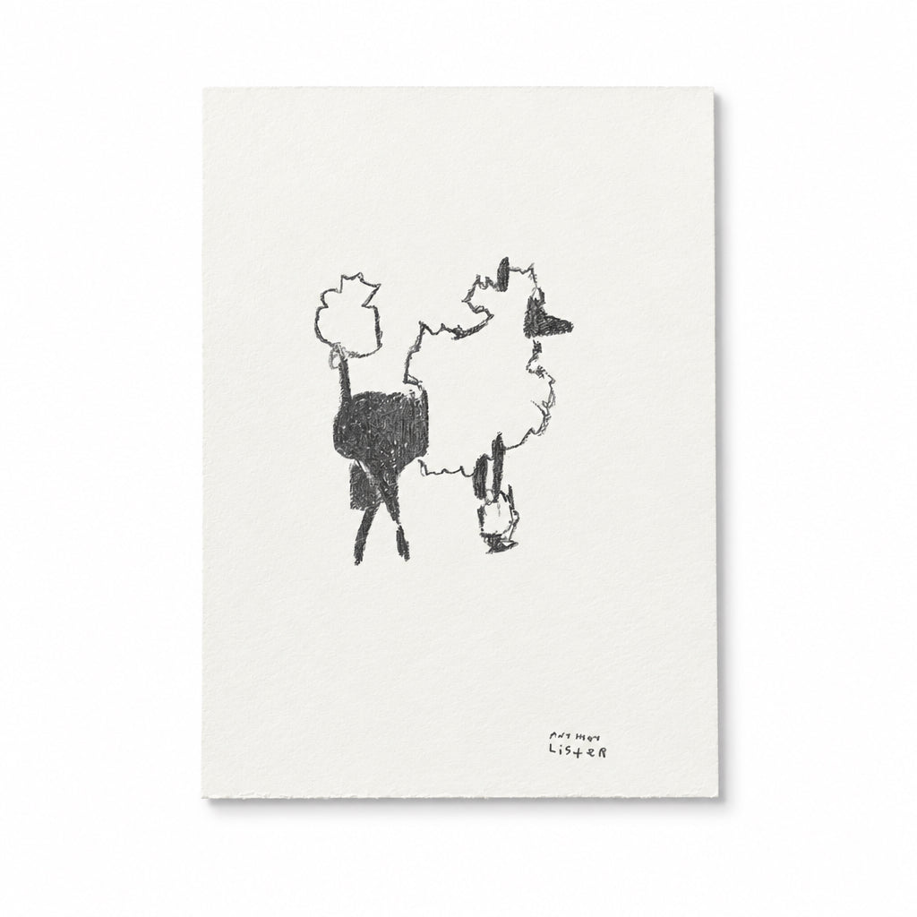 
                  
                    ZEBRA LOOKING POODLE
                  
                