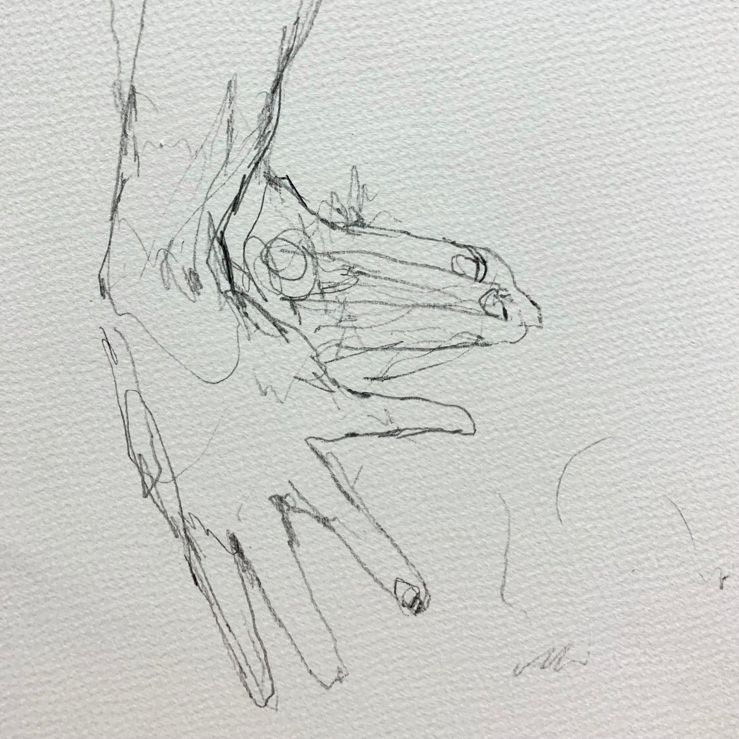 
                  
                    COULD DO HANDS ALL DAY
                  
                