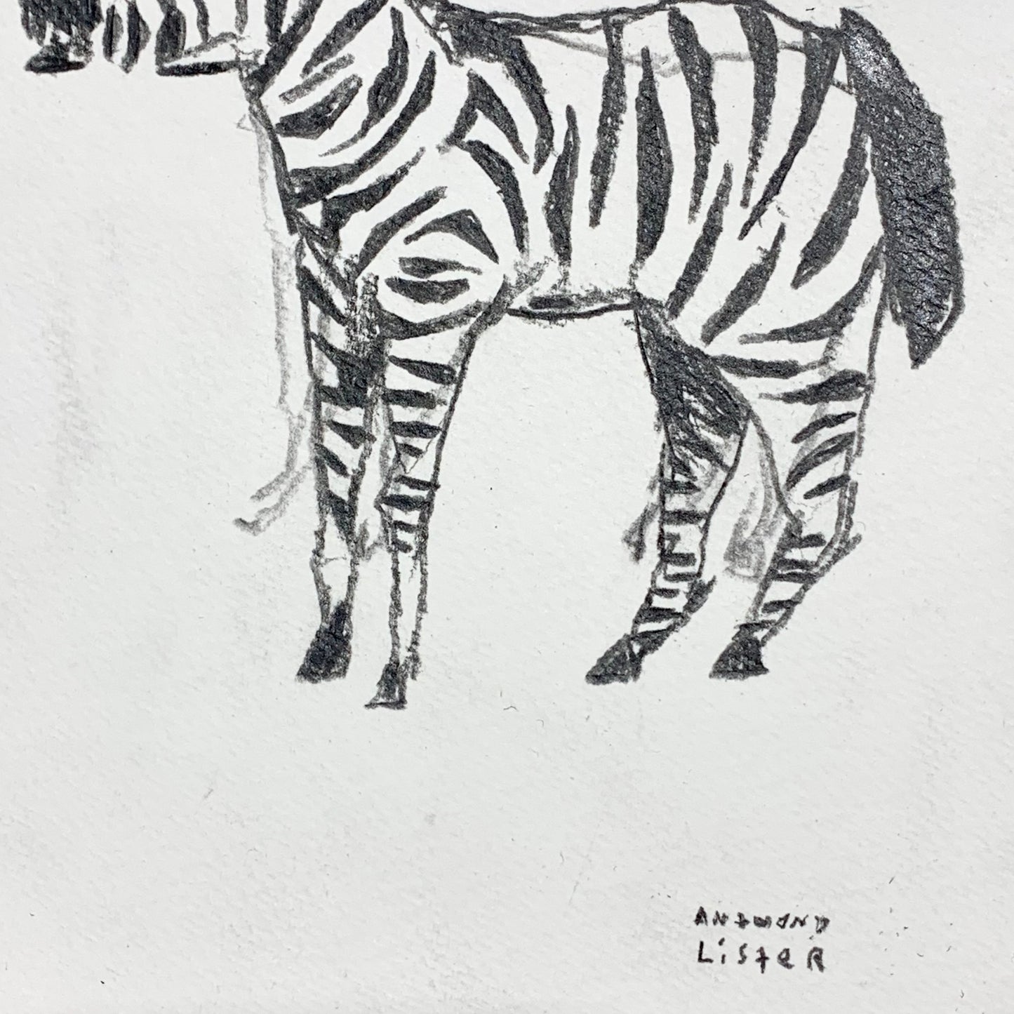 
                  
                    ZEBRA CALLING OUT
                  
                