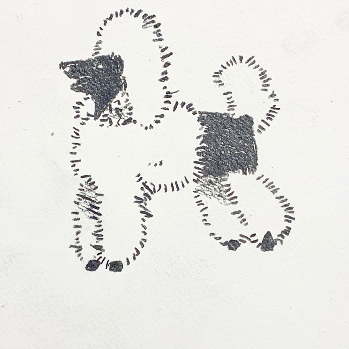 
                  
                    POODLE AT THE ZEBRA SHOW
                  
                