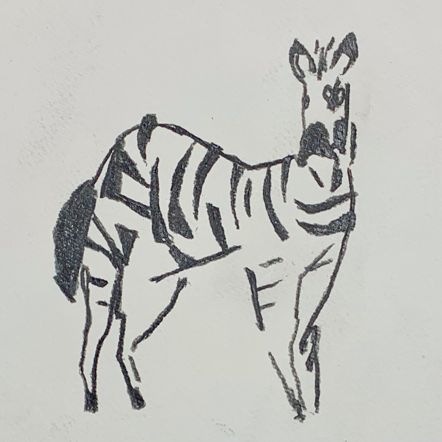 
                  
                    ZEBRA BEFORE FLIGHT
                  
                