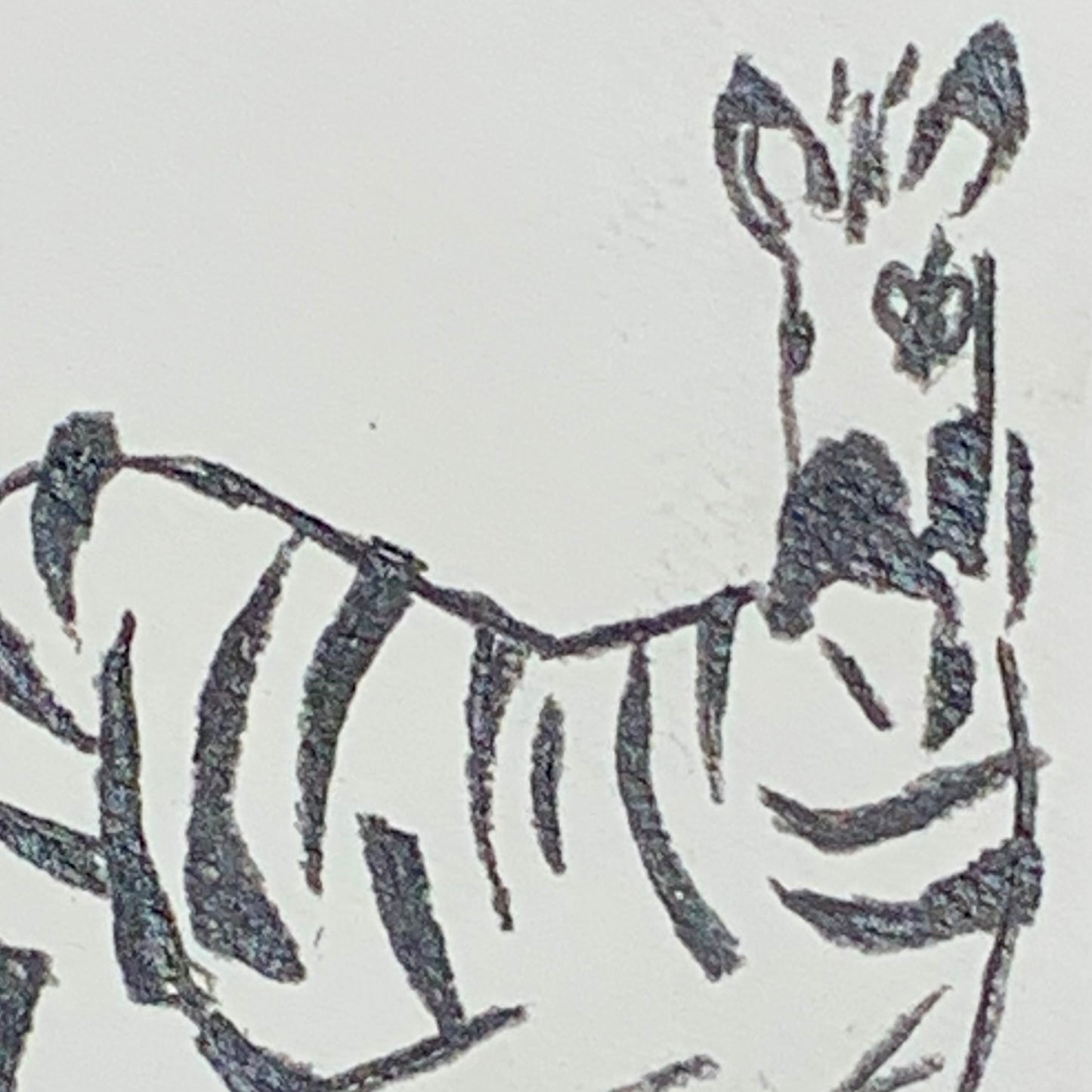 
                  
                    ZEBRA BEFORE FLIGHT
                  
                