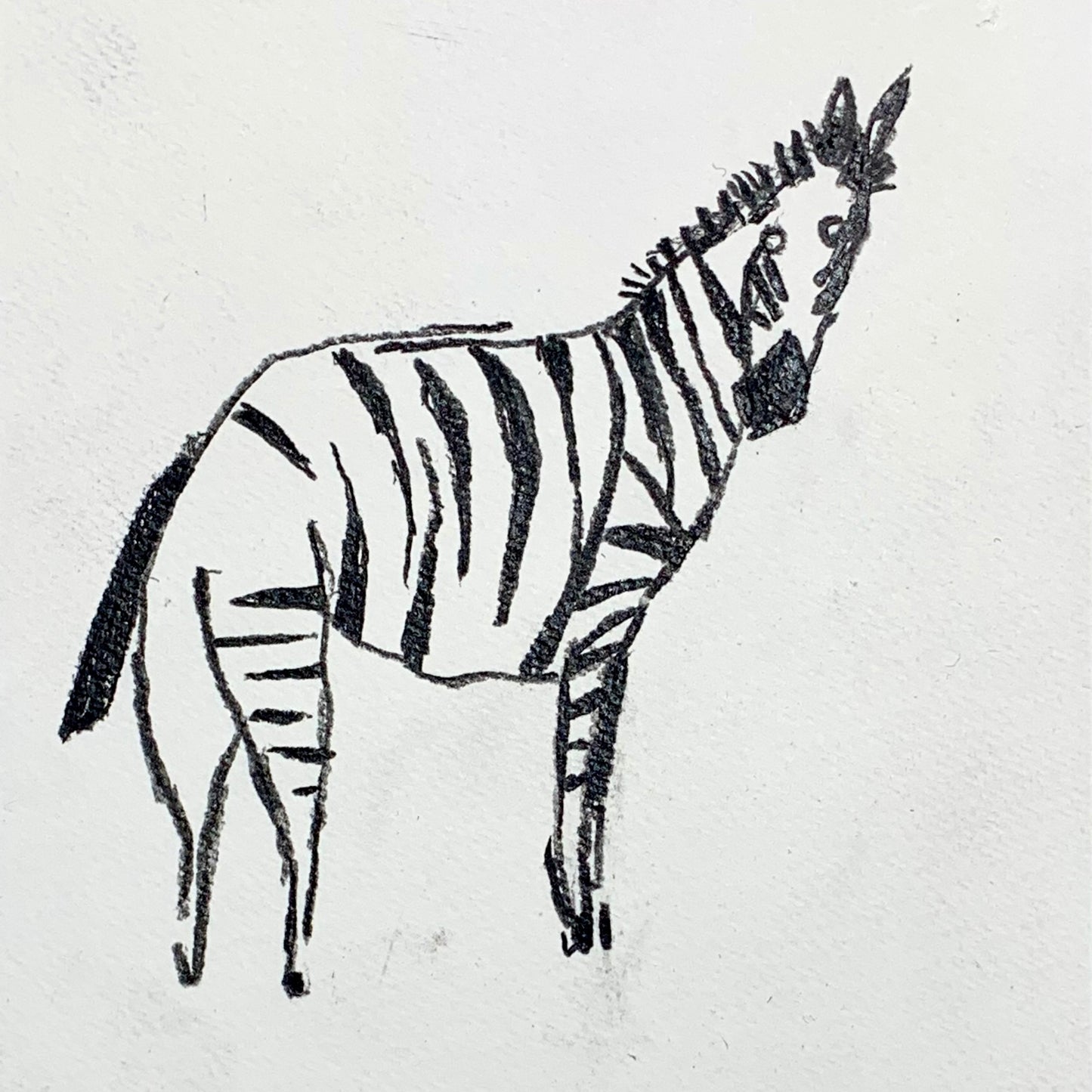 
                  
                    ZEBRA AT TWELVE O’CLOCK
                  
                