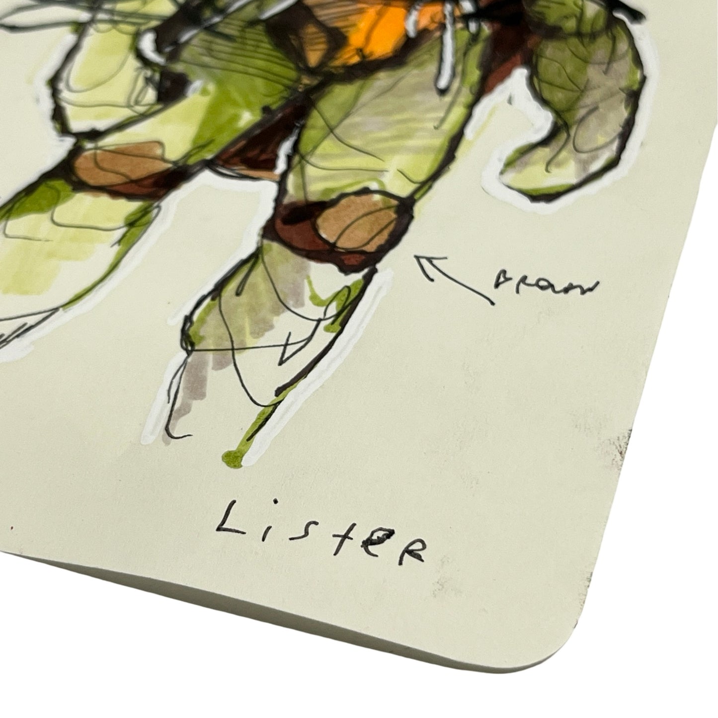 
                  
                    RAPHAEL
                  
                