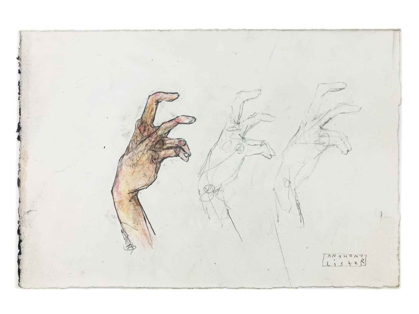 
                  
                    HANDS WORKING #1
                  
                