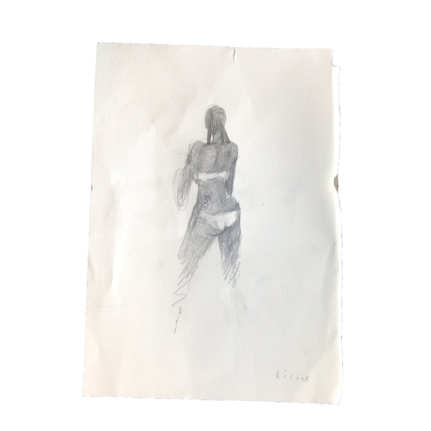 
                  
                    BACK TATS DRAWING
                  
                