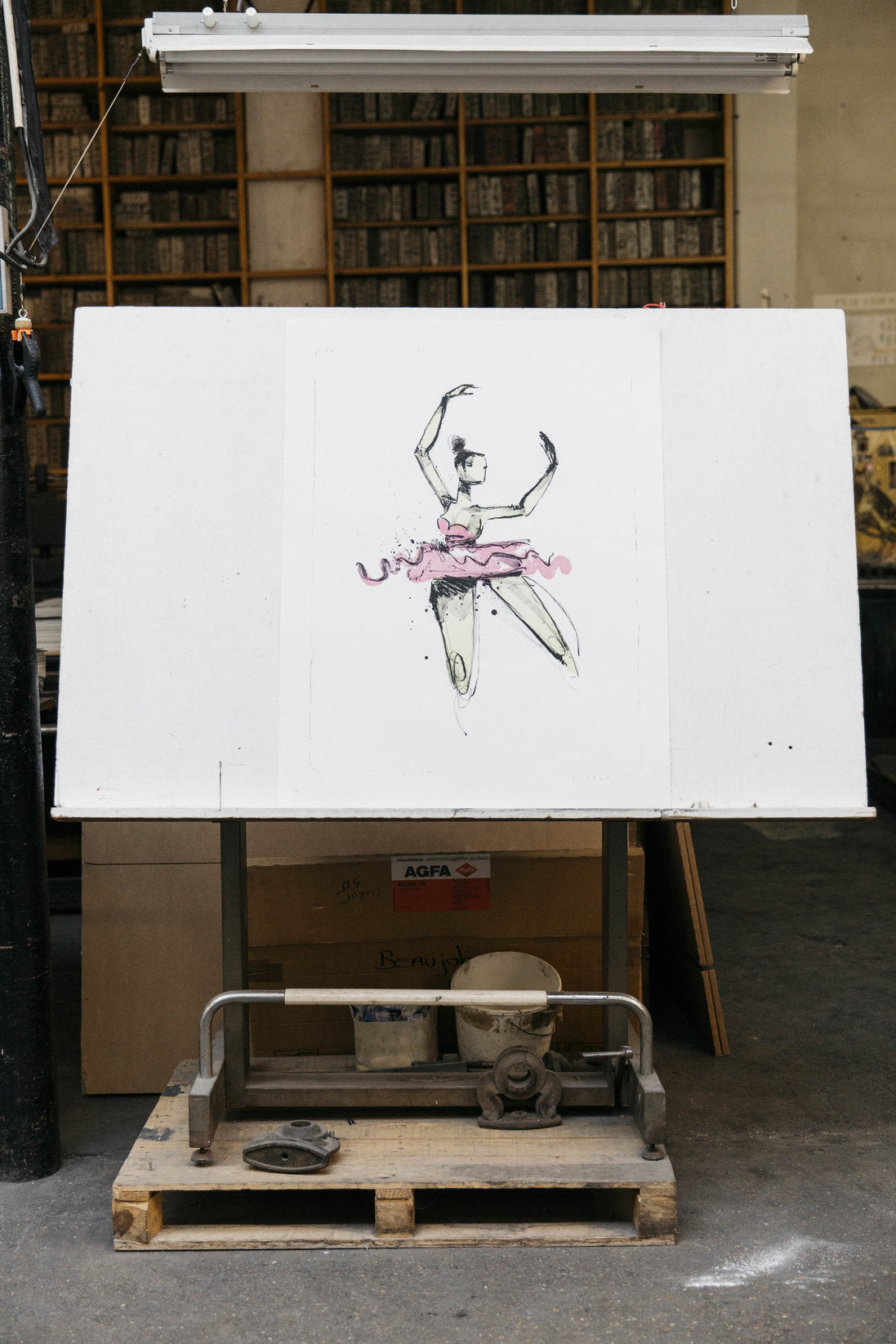 
                  
                    PRIMA BALLERINA PRINT A/P
                  
                